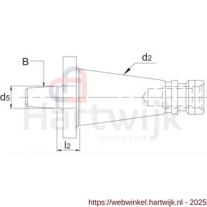 Phantom 84.173 DIN 238 boorhouderstift SK volgens DIN 2080 B-opname DIN 238 SK30 B16 - H40525836 - afbeelding 2