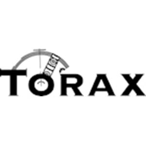 Logo Torax