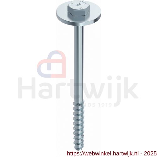 Heco Multi-Monti-Plus S schroefanker 12,0x200 mm SW 19 zeskantkop verzinkt blauw A2K 25 stuks VARIANTA verpakking - H50802078 - afbeelding 1