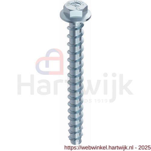 Heco Multi-Monti-Plus SS schroefanker 10,0x90 mm SW 13 zeskantkop met aangeperste ring verzinkt blauw A2K 25 stuks VARIANTA verpakking - H50802066 - afbeelding 1