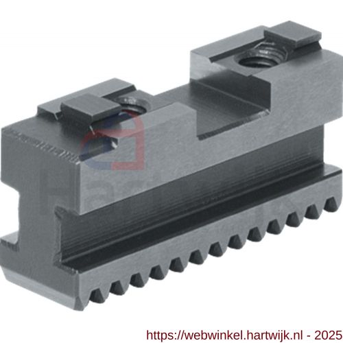 Bison 85.805 harde grondbekken voor 3-klauwplaat type 3404 125 mm set 3 stuks - H40502412 - afbeelding 1