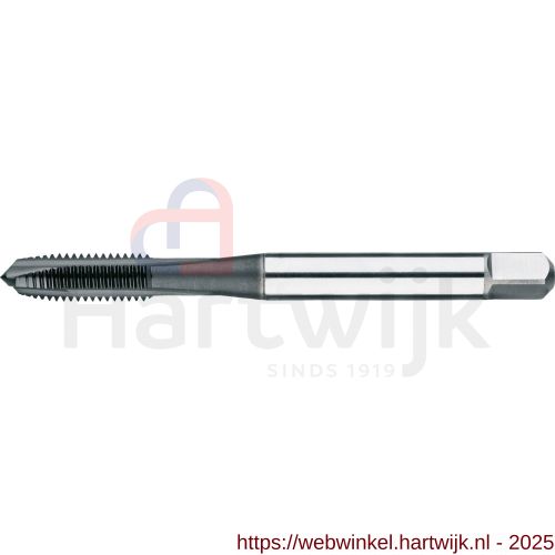 Phantom 22.240 UNI HSS-E machinetap DIN 371 metrisch TiCN voor doorlopende gaten M2‚5 - H40513604 - afbeelding 1