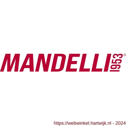 Logo Mandelli1953